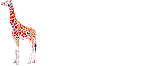 Giraffe — Элитное экскорт-агентство в Челябинске